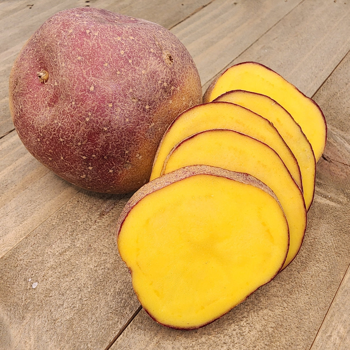 Potato (Early-Season) - Cheshire (Organic rounds) *pre-order*