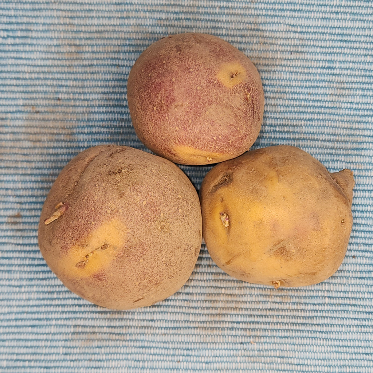 Potato (Early-Season) - Cheshire (Organic rounds) *pre-order*