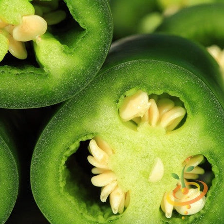 Pepper (Hot) - JalapeΓ±o, Green π₯π₯ - SeedsNow.com