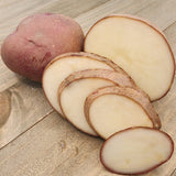 Potato (Mid-Season) - Norland, Dark Red (Organic rounds) *pre-order*
