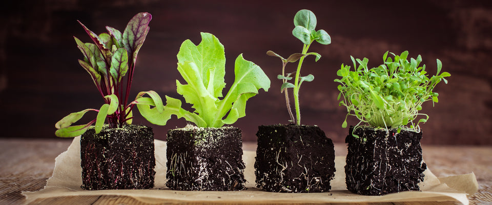 Seed & Garden Club - PRO PLAN! (includes free shipping)