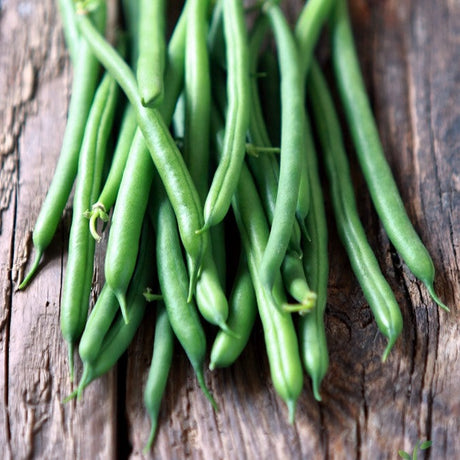 Bean, Pole - Kentucky Wonder, Brown - SeedsNow.com