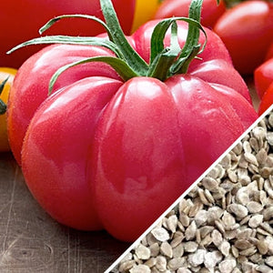 Tomato - Beefsteak, Pink (Indeterminate) - SeedsNow.com