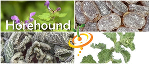 Horehound.